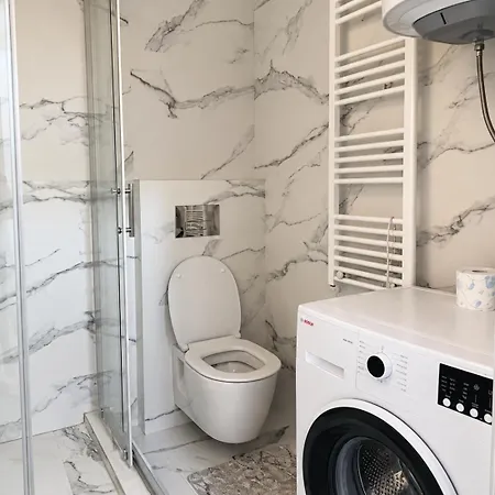 Comfort Golden Daire *